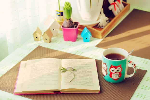 mood-tea-cup-owl-cute-lovely-book-times-house-wallpaper